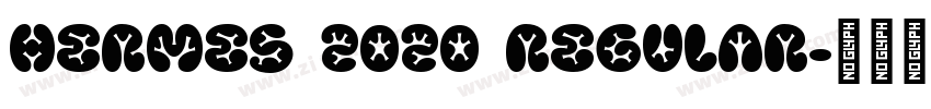 Hermes 2020 Regular字体转换